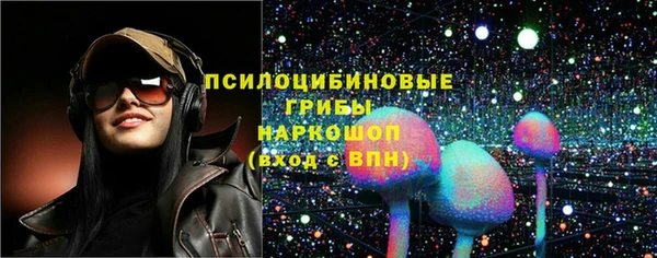 кокс Елизово