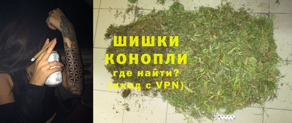 кокс Елизово