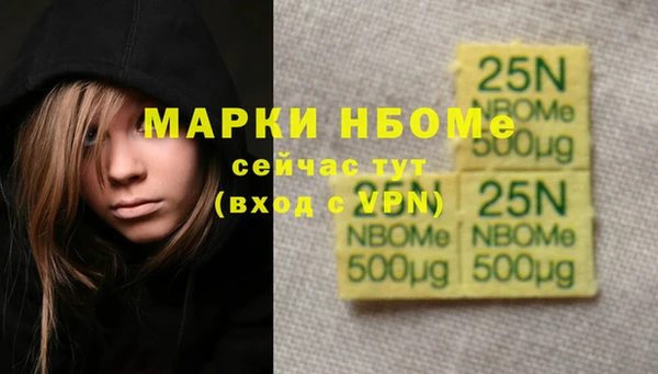 кокс Елизово