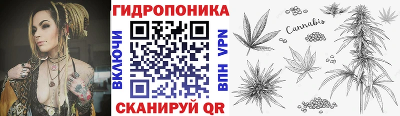 Марихуана семена  Купить где  Озёрск 